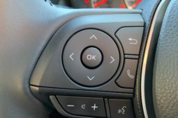 2019 Toyotal Corolla SX Hatch_0011_